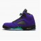 PK Shoes Air Jordan 5 Retro Alternate Grape Grape Ice/Black Clear New Emer 136027-500