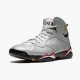 PK Shoes Air Jordan 7 Retro Reflections of A Champion Reflect Silver/Cardinal Red Bl BV6281-006